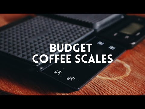 Budget Coffee Scales!! | Review and Comparison