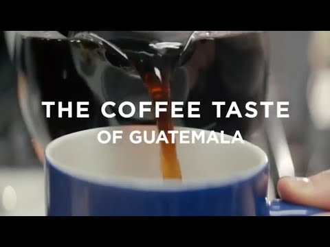 Guatemala Coffee Review: Regional Differences (and Best Coffees!)