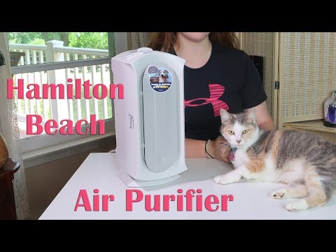 Hamilton Beach AIR PURIFIER (04384) 🍀 Pet Air Cleaner – HEPA & CARBON FILTER REVIEW 👈