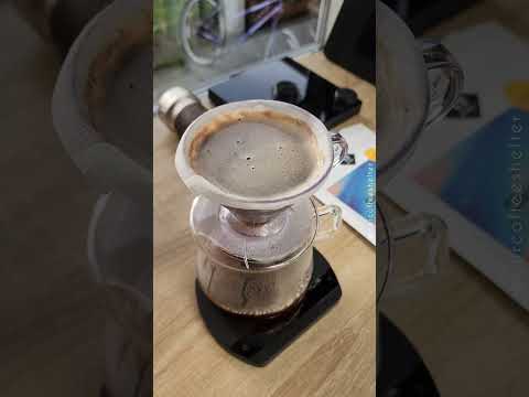 1Zpresso ZP6 Special Review! 📸☕️💫