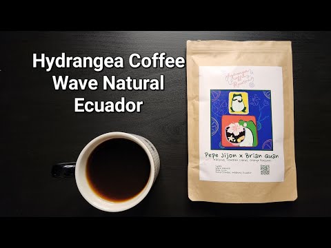 Hydrangea Coffee Review (Berkeley, CA)- Wave Natural Ecuador Pepe Jijon x Brian Quan