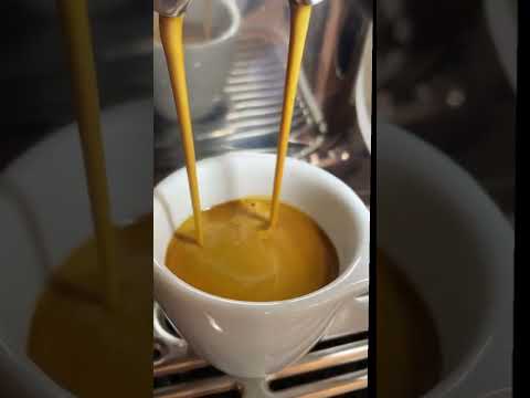 "Super Crema" | Breville Barista Pro #coffeegrinder #coffeemachine #espresso