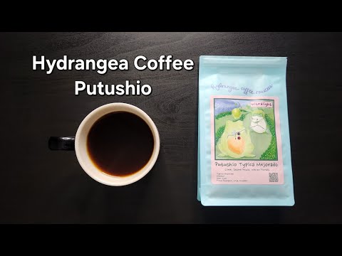 Hydrangea Coffee Review (Berkeley, CA)- Washed Ecuador Putushio