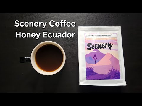 Scenery Coffee Review (London, England)- Honey Ecuador Mario Hervas