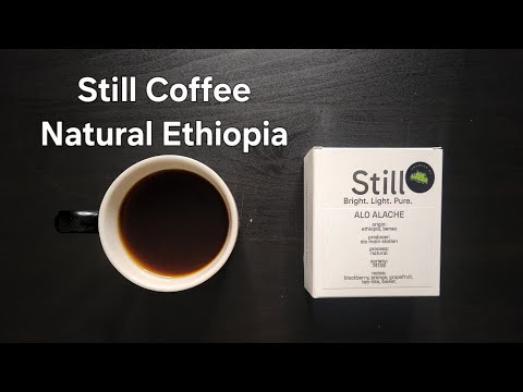Still Coffee Roasters Review (The Hague, Netherlands)- Natural Ethiopia Alo Alache